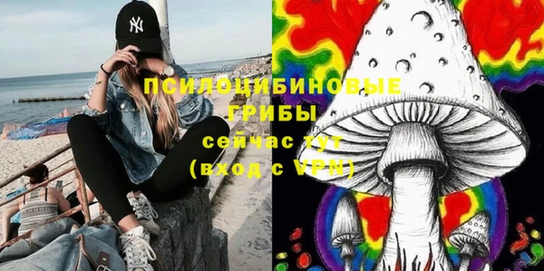 индика Алзамай