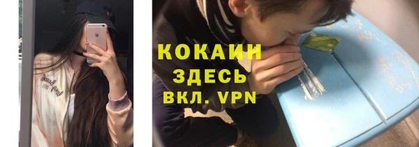индика Алзамай