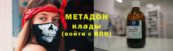 индика Алзамай