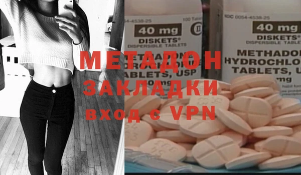 индика Алзамай