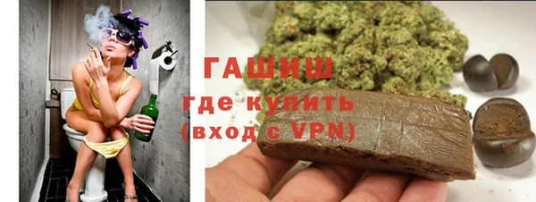 индика Алзамай